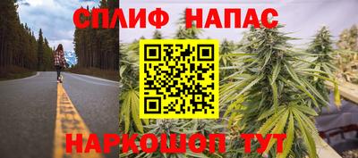 PSILOCYBIN Малоярославец
